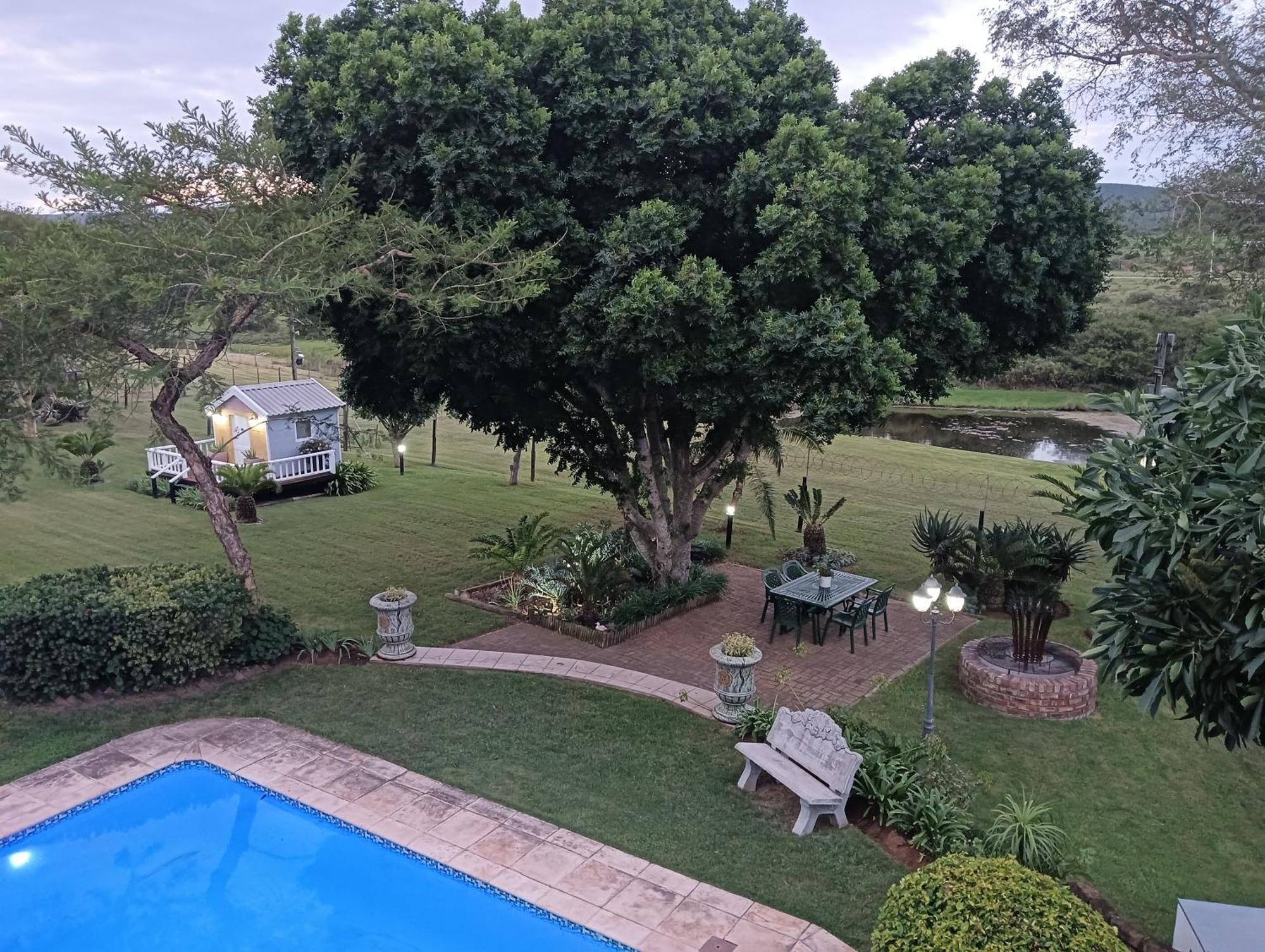 Little Tree Loft 2 Bed & Breakfast Uitenhage Eksteriør bilde